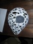dalmata.jpg